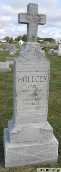 Maria A Holecek