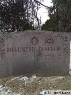 James V Dibello