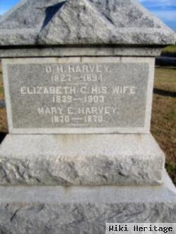 Elizabeth C. Hartley Harvey