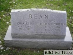 Charles P Bean