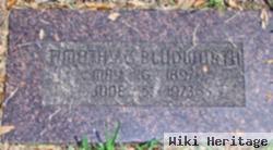 Timothy Gilderoy "t. G." Bludworth