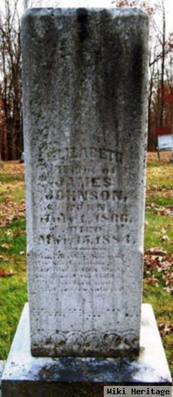 Mary Elizabeth "elizabeth" Evans Johnson