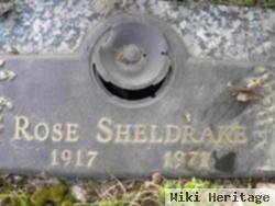 Rose Sheldrake