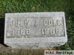 Julia A. Cole