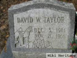 David W Taylor