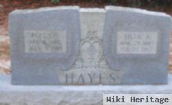 Lillie Ann Stewart Hayes