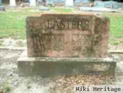 Anna Louise Hicks Easters