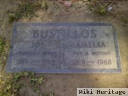 Amelia D Bustillos