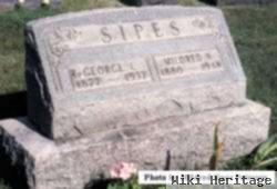 Rev George Lewis Sipes