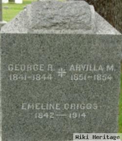 Emeline French Griggs