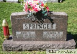 Ann C. Strain Springer