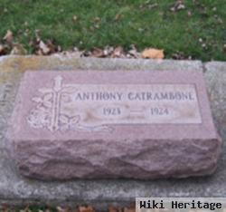 Anthony Catrambone