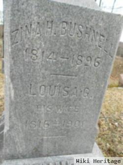 Louisa A. Gaige Bushnell