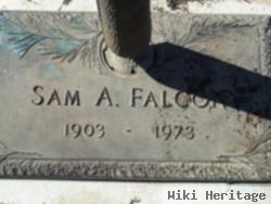 Samuel Arnold Falcon