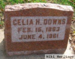 Celia H. Downs