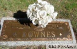 Ann Lewis Downes