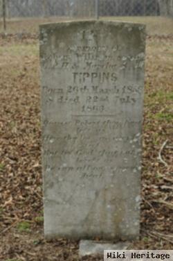 Robert William Tippins