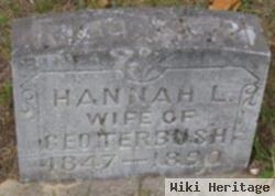 Hanna L. Terbush