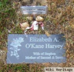 Elizabeth A O'kane Harvey