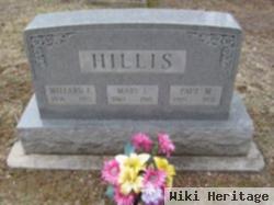 Paul M Hillis