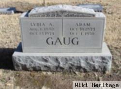 Adam Gaug