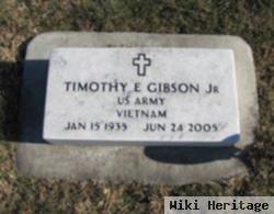 Timothy E Gibson