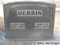 Mary Ann Hutcheson Herrin