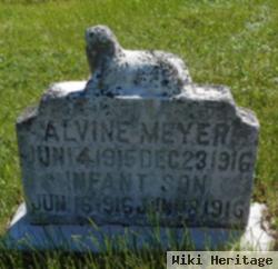 Alvine Irene Meyer