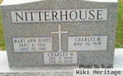 Mary Ann Hines Nitterhouse