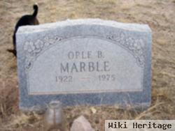 Mary Ople Bleak Marble