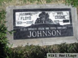 Floyd Johnson