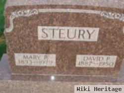 David P Steury