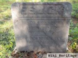 Georgia Ann Tucker Eslick