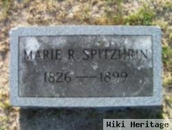 Marie R Spitzhirn