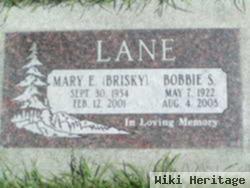 Mary Elizabeth Brisky Lane