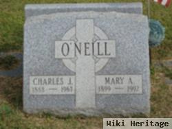 Charles J. O'neill