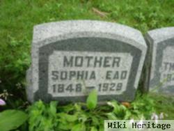 Sophia Curtis Ead