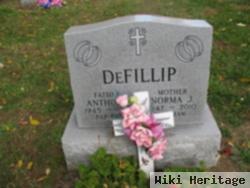 Norma J. Defillip