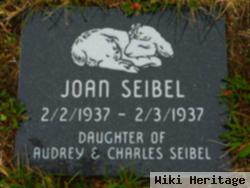 Joan Seibel