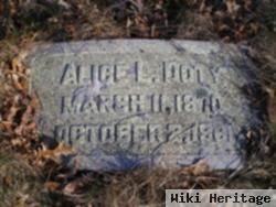 Alice Lincoln Doty