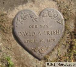 David A. Irish