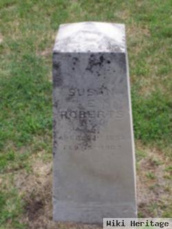 Susan E Roberts