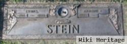 Ariandne B Stein