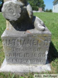 Nathaniel D. Jones