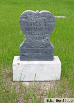 Agnes Elizabeth Newcomb Crommett