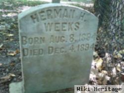 Herman H Weeks