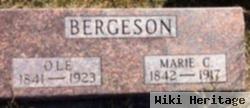 Ole Bergeson