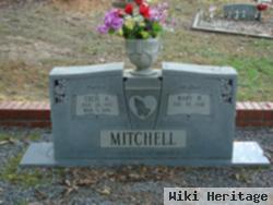 Mary H Mitchell