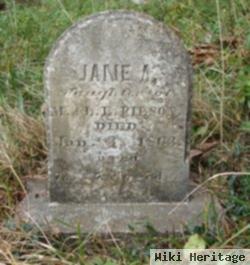 Jane Ann Pilson