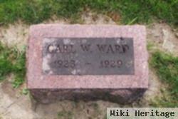 Carl W Ward